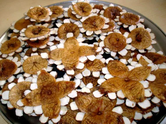 Estrelas de Figo